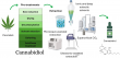 Cannabidiol Market Set to Witness Significant Growth by 2025-2032 | ENDOCA, Cannoid LLC, Medical Marijuana Inc, Elixinol