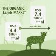 Organic Lamb Market to Reach USD 7.4 Billion by 2035, Driven by Rising Demand for Chemical-Free and Ethical Meat Product