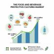 Food & Beverage Protective Cultures Market Forecasts 4.3% CAGR Growth Through 2035 with Increasing Clean-Label Adoption