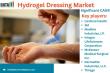 Hydrogel Dressing Market Poised for Transformative Growth with Rising Demand in Advanced Wound Care Solutions 2025
