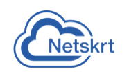 Netskrt logo
