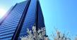 Origami International Patent Firm Announces New Flat-Fee Patent Filing Service in Japan