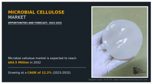 Microbial Cellulose Industry Analysis