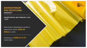 Downstream Polyethylene Market, by Type