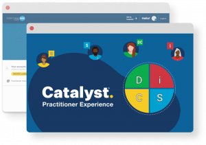 DiSC Practitioner experience