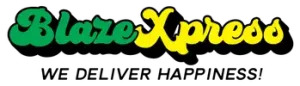 23590230 blaze xpress logo