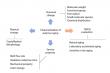 Unlocking the secrets of polymer aging: new insights for material longevity