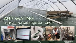 Automating A Spirulina Microalage Farm