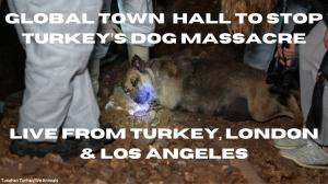 Global Emergency Town Hall to Stop Turkey's Dog Massacre