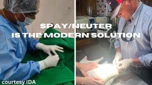 Spay-Neuter is the modern solution