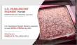 U.S. Pearlescent Pigment Market Research is Expecting to Accrue Strong Growth in Forecast to 2031