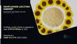 Sunflower Lecithin Market Analysis: Emerging Trends and Strategic Developments
