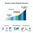 Casein Market to Reach Nearly USD 5.1 Billion by 2035, Driven by Rising Protein-Enriched Food Demand