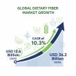 Global Dietary Fiber Market Expands at 10.3% CAGR, Backed by Rising Awareness of Digestive Health Benefits