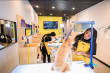 Well Groomed Franchise System Announces Landmark Partnership with Salon 30 to Open 30 Embedded Salons Nationwide