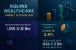 Equine Healthcare Market Set to Grow at 4.8% CAGR, Reaching USD 1.3 Bn by 2035 | Transparency Market Research