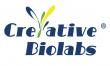 Innovation-Driven: Creative Biolabs Advances Next-Generation ADC Development and Safety Assessment