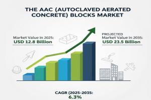 AAC (Autoclaved Aerated Concrete) Blocks Market