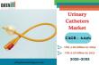 Urinary Catheters Market Outlook |USD 6.59 Billion by 2033 |Key Drivers: Elderly & Chronic Diseases | DataM Intelligence