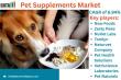 Pet Supplements Market Soars: Key Trends, Growth Drivers, and Opportunities Revealed for 2025 | DataM Intelligence