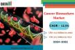 Cancer Biomarkers Market to Reach USD 32.5 Billion by 2031 | 12.3% CAGR Growth | Driven by AI, Omics, and Liquid Biopsy