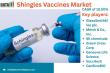 Shingles Vaccines Market Set for Rapid Growth: Key Players and Emerging Opportunities 2025 | DataM Intelligence