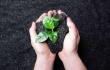 Enriched Biochar Market Research Provides an In-Depth Analysis on the Future Growth Prospects