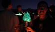 Glowing Anthuriums Illuminate Taiwan’s Rural Regeneration: Fusing Art, Technology, and Climate Action