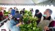 Satoyama Mace Initiative Wins 2025 MUSE Creative Awards for Corporate Social Responsibility