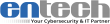 Entech Launches Managed Services for Florida Businesses