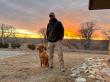 Aspen Veterinary Clinic Celebrates 50+ Years of Veterinary Excellence in Arizona
