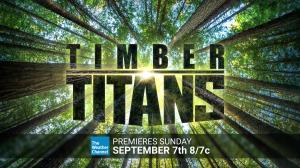 23622020 timber titans poster
