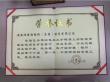 Leading Steel Structure Buildings Manufacturer, Anhui Honglu, Wins Prestigious China Steel Structure Gold Award