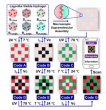 Massive Information Storage via LEGO-like Assembly Chemistry of Hydrogel Cubes