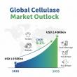 Cellulase Market to Reach USD 2.4 Billion by 2035, Driven by Expanding Biofuel Production and Textile Application