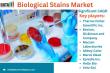 Global Biological Stains Market Set to Surge: Innovative Solutions Driving Growth Through 2031 | DataM Intelligence