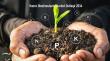Humic Biostimulants Market Anticipated to Reach US$ 3.5 Bn, Expanding at a CAGR of 11.0% by 2035 | TMR