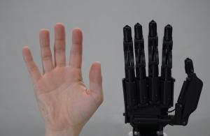 Human-sized robotic hand “CR Hand” compared side by side with a human hand, highlighting realistic proportions.