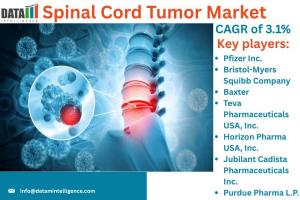 Spinal Cord Tumor Market