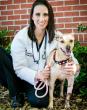 Dr. Dena Lodato selected for IAOTP’s Executive Choice Award