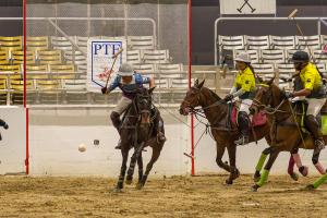 female polo player uses mallet to hit ball out of goal