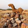 Madhya Pradesh Unearths One of the World’s Largest Dinosaur Hatcheries