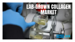 Lab-grown Collagen Market to Surge to USD 1.27 Billion by 2035, Growing at 18.5% CAGR