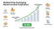 Molded Pulp Packaging Market to Reach USD 8.8 Billion by 2035, Fueled by Sustainability and E-Commerce Growth