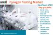 Global Pyrogen Testing Market Set for Strong Growth as Demand for Safer Biologics & Pharmaceuticals Accelerates 2025