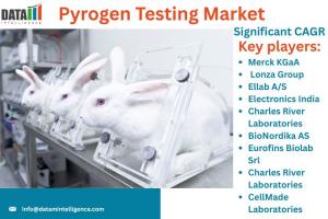 Pyrogen Testing Market