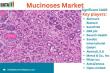 Global Mucinoses Market Set to Surge: Innovative Treatments and Rising Awareness Driving Growth Through 2033