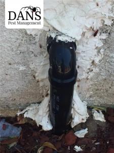 Cockroach infestation in home kitchen – Bakersfield pest control and extermination services