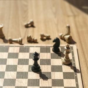 A Chess Queen and Knight cornering the other King