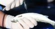 Fish Vaccine Market Is Booming So Rapidly 2025-2032 -Zoetis, Elanco, Virbac, HIPRA,Tecnovax, Phibro Animal Health Co